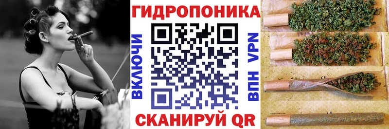 Шишки марихуана OG Kush  где купить наркоту  Прохладный 